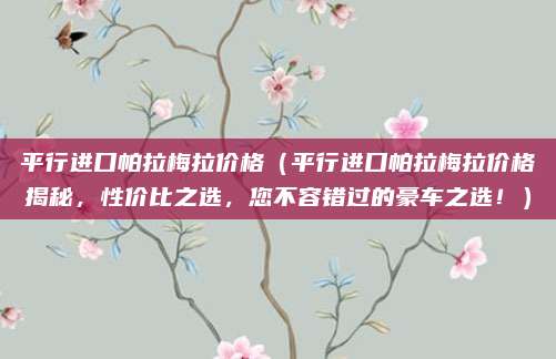 平行进口帕拉梅拉价格(平行进口帕拉梅拉价格揭秘,性价比之选,您不容错过的豪车之选!)