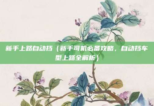 新手上路自动挡(新手司机必备攻略,自动挡车型上路全解析)