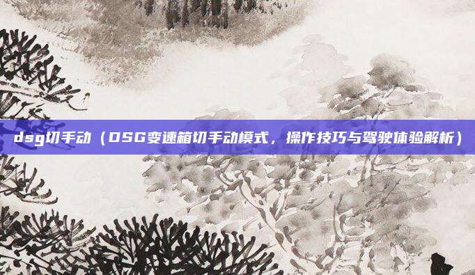 dsg切手动（DSG变速箱切手动模式，操作技巧与驾驶体验解析）