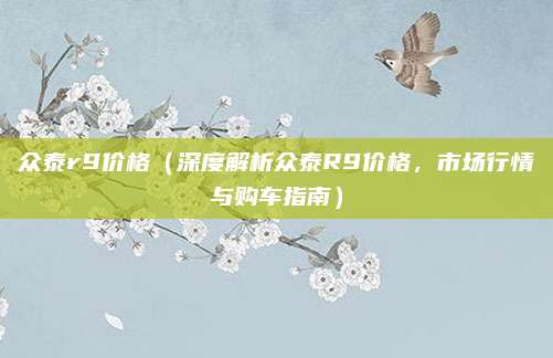 众泰r9价格(深度解析众泰R9价格,市场行情与购车指南)