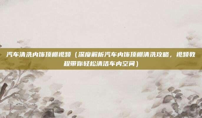 汽车清洗内饰顶棚视频(深度解析汽车内饰顶棚清洗攻略,视频教程带你轻松清洁车内空间)