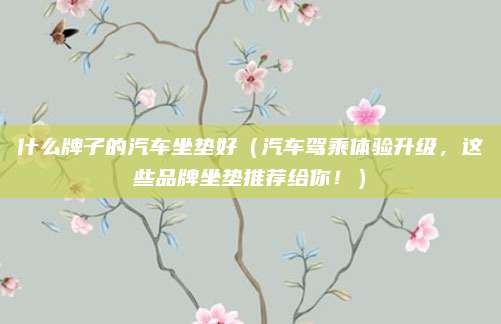 什么牌子的汽车坐垫好(汽车驾乘体验升级,这些品牌坐垫推荐给你!)