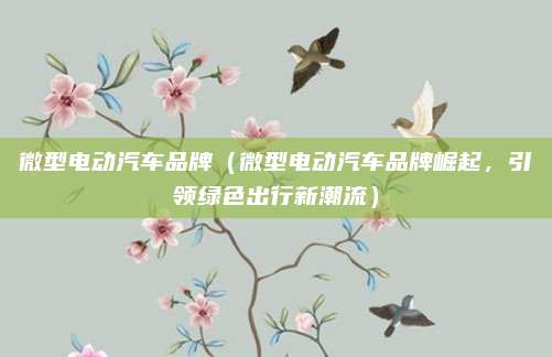 微型电动汽车品牌(微型电动汽车品牌崛起,引领绿色出行新潮流)
