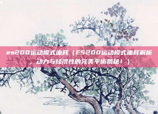 es200运动模式油耗(ES200运动模式油耗解析,动力与经济性的完美平衡揭秘!)