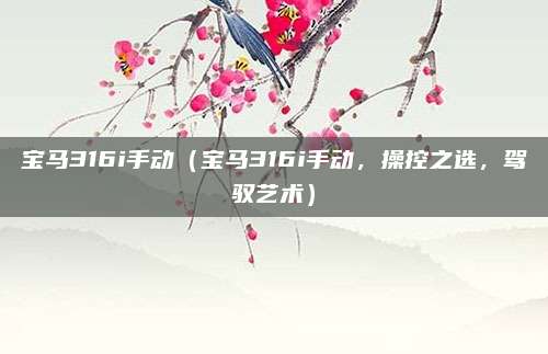 宝马316i手动（宝马316i手动，操控之选，驾驭艺术）