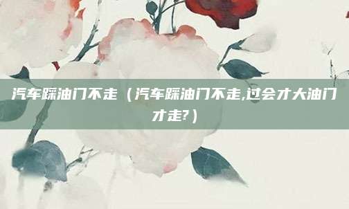 汽车踩油门不走(汽车踩油门不走,过会才大油门才走?)