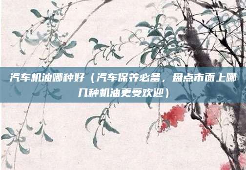 汽车机油哪种好（汽车保养必备，盘点市面上哪几种机油更受欢迎）