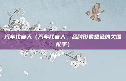 汽车代言人（汽车代言人，品牌形象塑造的关键推手）