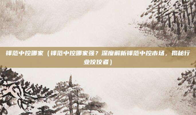 锋范中控哪家（锋范中控哪家强？深度解析锋范中控市场，揭秘行业佼佼者）
