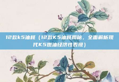 12款k5油耗（12款K5油耗揭秘，全面解析现代K5燃油经济性表现）