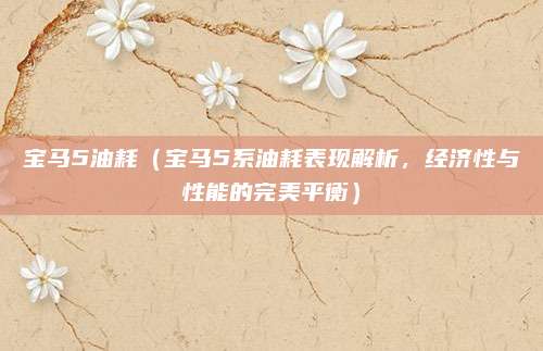 宝马5油耗（宝马5系油耗表现解析，经济性与性能的完美平衡）