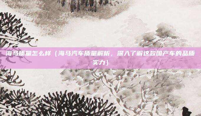 海马质量怎么样（海马汽车质量解析，深入了解这款国产车的品质实力）