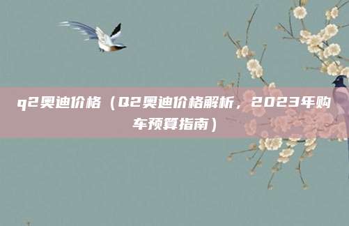 q2奥迪价格（Q2奥迪价格解析，2023年购车预算指南）