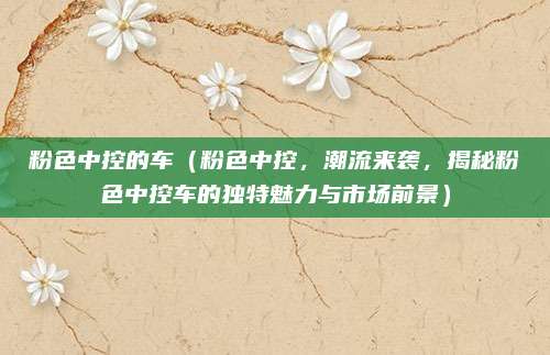 粉色中控的车（粉色中控，潮流来袭，揭秘粉色中控车的独特魅力与市场前景）