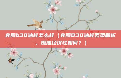 奔腾b30油耗怎么样（奔腾B30油耗表现解析，燃油经济性如何？）