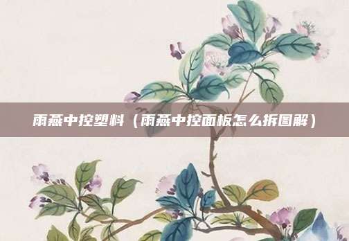 雨燕中控塑料(雨燕中控面板怎么拆图解)