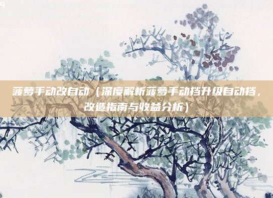 菠萝手动改自动（深度解析菠萝手动挡升级自动挡，改造指南与收益分析）
