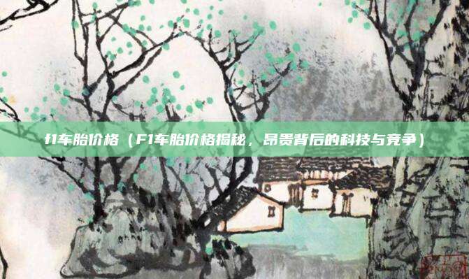 f1车胎价格（F1车胎价格揭秘，昂贵背后的科技与竞争）