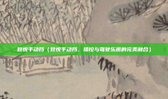 致悦手动挡（致悦手动挡，操控与驾驶乐趣的完美融合）