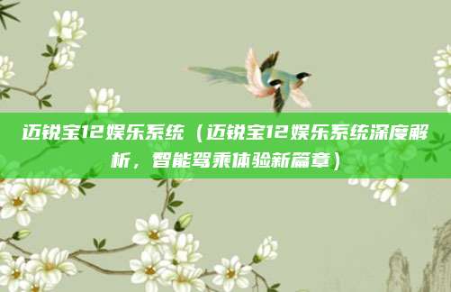 迈锐宝12娱乐系统（迈锐宝12娱乐系统深度解析，智能驾乘体验新篇章）