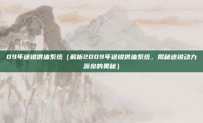 09年途锐供油系统（解析2009年途锐供油系统，揭秘途锐动力源泉的奥秘）