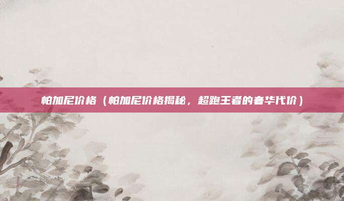 帕加尼价格（帕加尼价格揭秘，超跑王者的奢华代价）