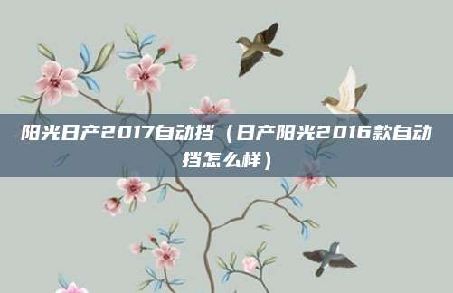 阳光日产2017自动挡(日产阳光2016款自动挡怎么样)
