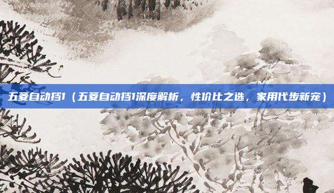 五菱自动挡1（五菱自动挡1深度解析，性价比之选，家用代步新宠）