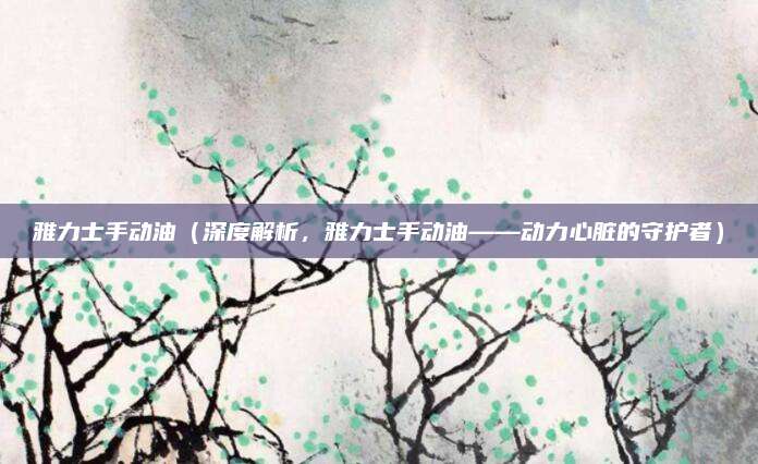 雅力士手动油（深度解析，雅力士手动油——动力心脏的守护者）