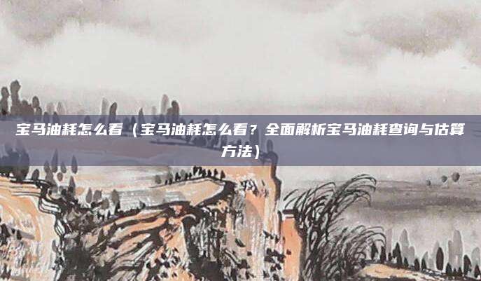 宝马油耗怎么看（宝马油耗怎么看？全面解析宝马油耗查询与估算方法）