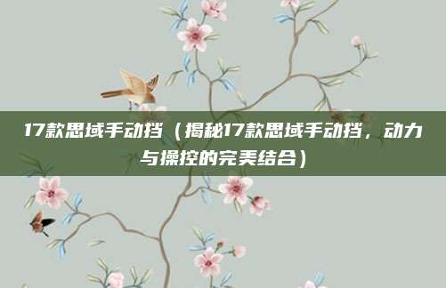 17款思域手动挡（揭秘17款思域手动挡，动力与操控的完美结合）