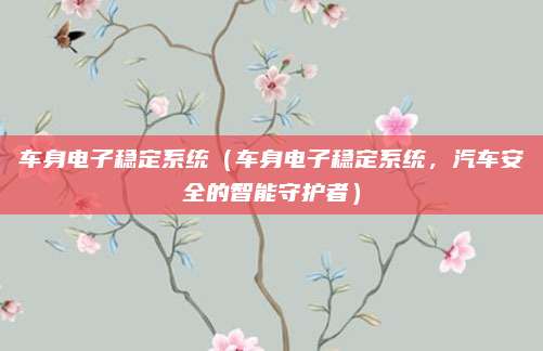 车身电子稳定系统（车身电子稳定系统，汽车安全的智能守护者）