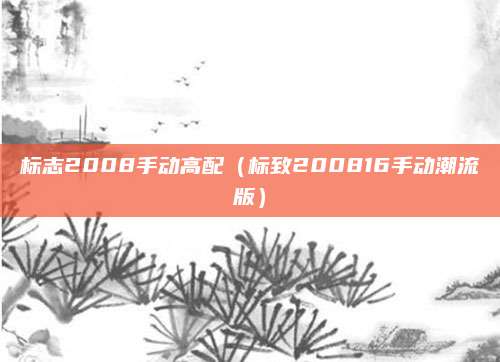 标志2008手动高配(标致200816手动潮流版)