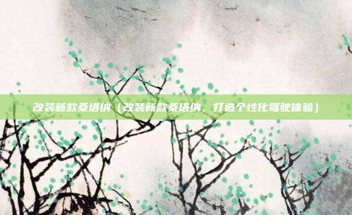 改装新款桑塔纳（改装新款桑塔纳，打造个性化驾驶体验）