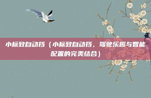 小标致自动挡（小标致自动挡，驾驶乐趣与智能配置的完美结合）