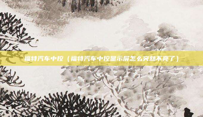 福特汽车中控(福特汽车中控显示屏怎么突然不亮了)