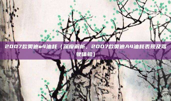 2007款奥迪a4油耗（深度解析，2007款奥迪A4油耗表现及驾驶体验）