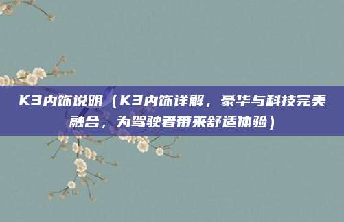 K3内饰说明（K3内饰详解，豪华与科技完美融合，为驾驶者带来舒适体验）