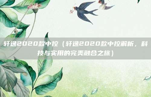 轩逸2020款中控(轩逸2020款中控解析,科技与实用的完美融合之旅)