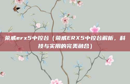 荣威erx5中控台(荣威ERX5中控台解析,科技与实用的完美融合)