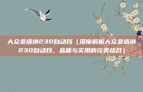 大众桑塔纳230自动挡(深度解析大众桑塔纳230自动挡,品质与实用的完美结合)