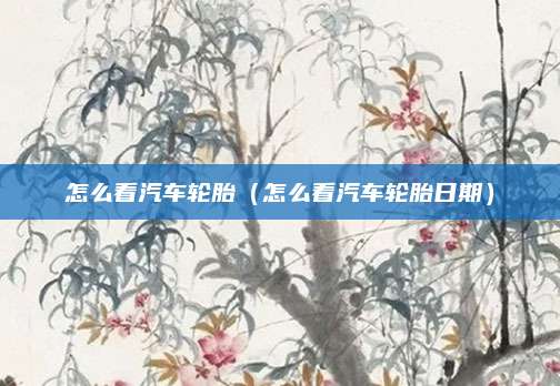 怎么看汽车轮胎(怎么看汽车轮胎日期)