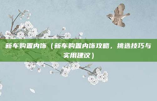 新车购置内饰(新车购置内饰攻略,挑选技巧与实用建议)