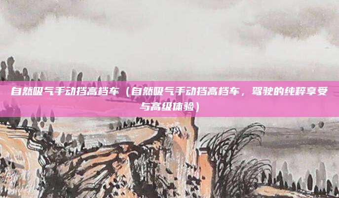 自然吸气手动挡高档车(自然吸气手动挡高档车,驾驶的纯粹享受与高级体验)
