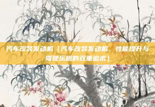 汽车改装发动机(汽车改装发动机,性能提升与驾驶乐趣的双重追求)