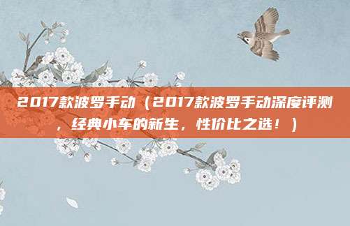 2017款波罗手动(2017款波罗手动深度评测,经典小车的新生,性价比之选!)