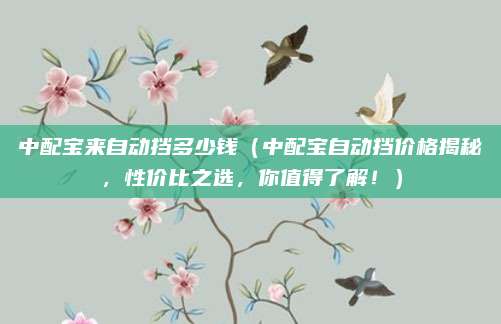 中配宝来自动挡多少钱(中配宝自动挡价格揭秘,性价比之选,你值得了解!)