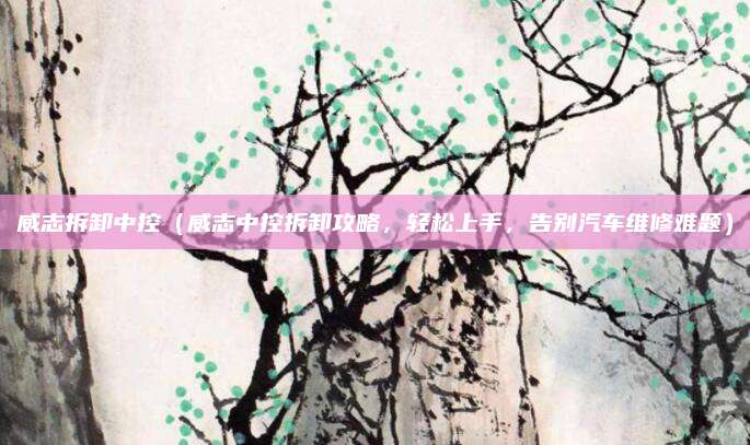威志拆卸中控(威志中控拆卸攻略,轻松上手,告别汽车维修难题)