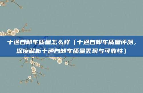 十通自卸车质量怎么样（十通自卸车质量评测，深度解析十通自卸车质量表现与可靠性）