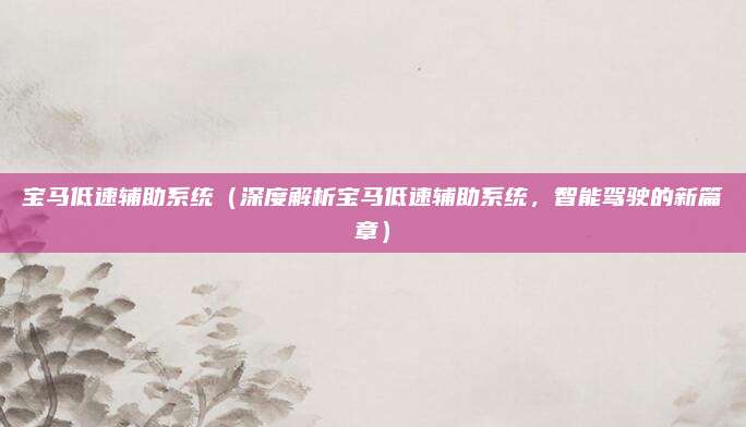 宝马低速辅助系统（深度解析宝马低速辅助系统，智能驾驶的新篇章）